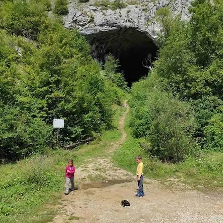 Tri Bora Casa vacanze Vodice